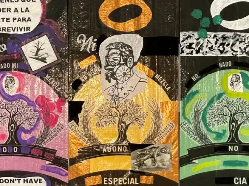 Dionisio Cañas en Des-encuentro