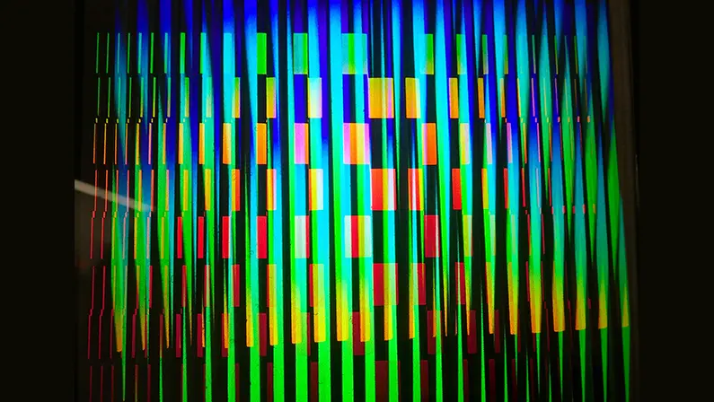 Amélie Petit Moreau